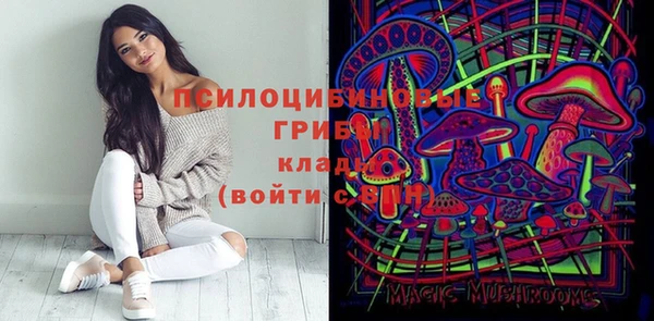 гашик Алексеевка