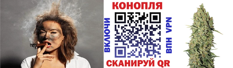 Канабис ГИДРОПОН где купить наркотик Канаш